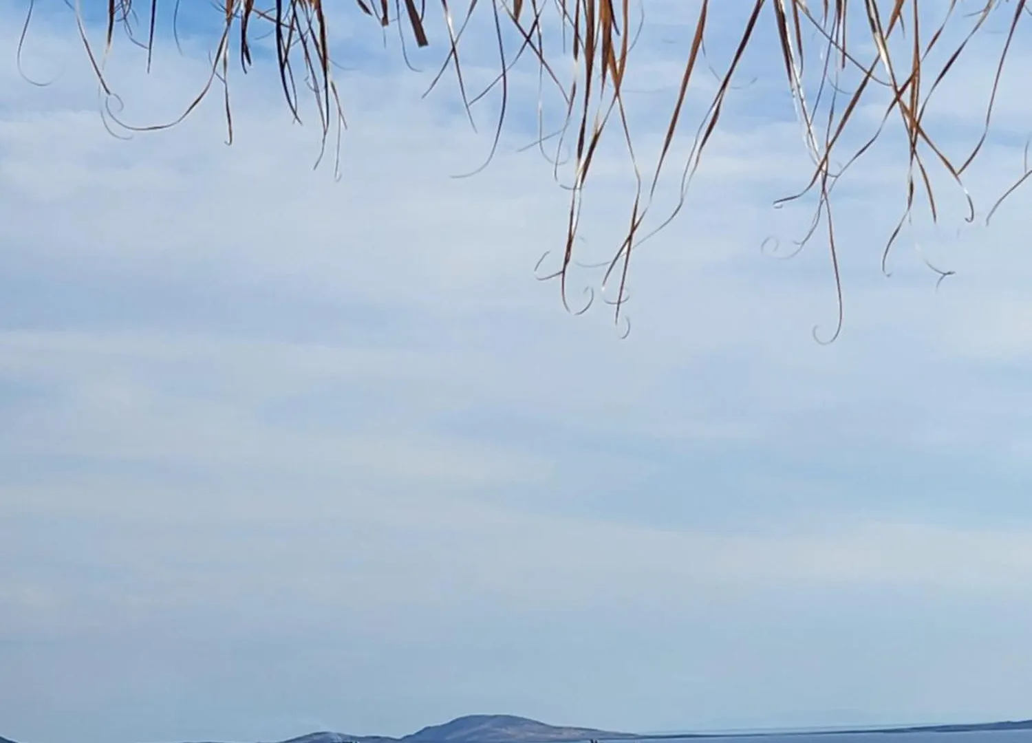 Elli Tropical Luxury Suites Sunset-Infinity Pool- Sea Side-Near Center Parking Mykonos Town 0*,