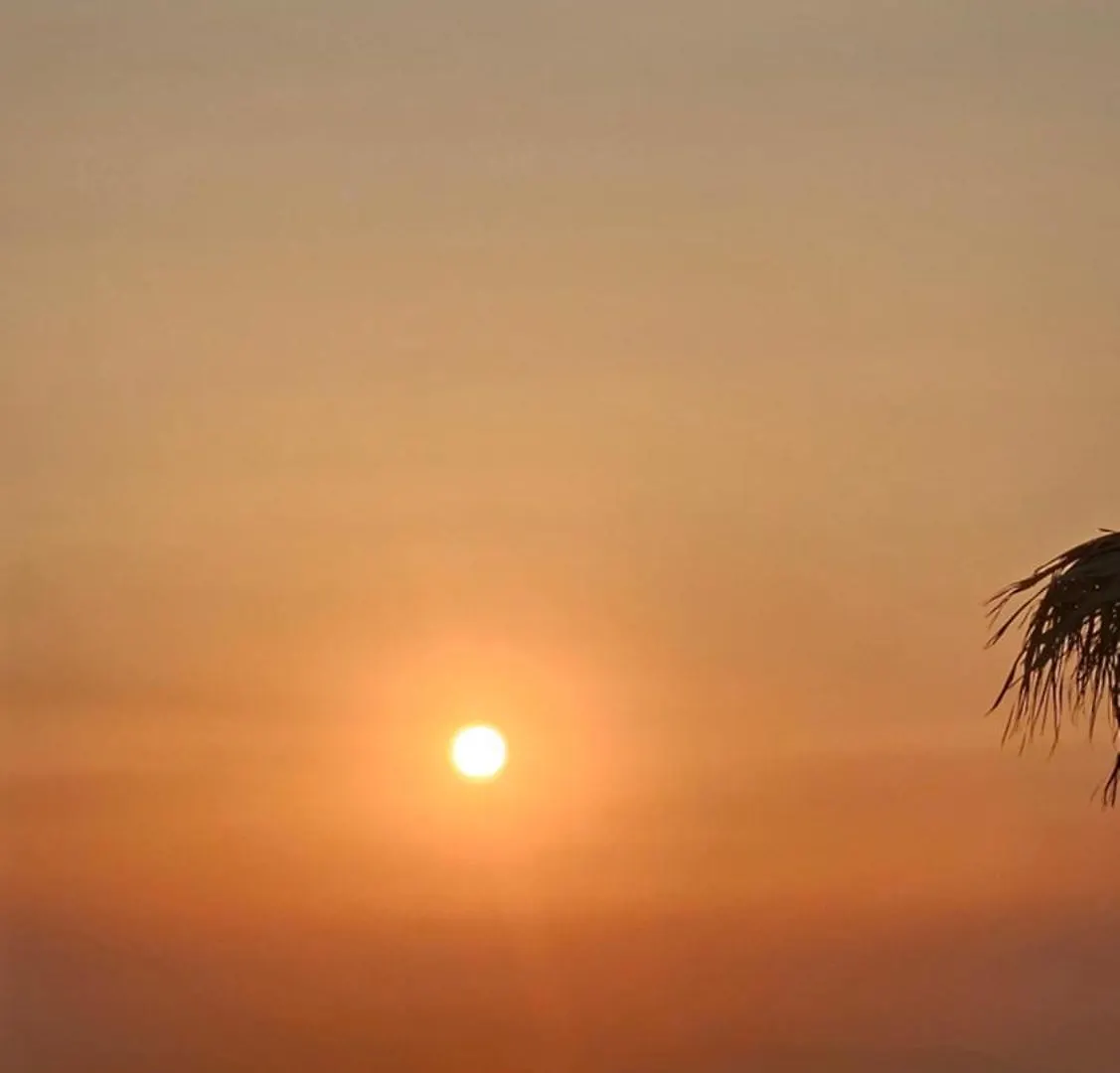 Elli Tropical Luxury Suites Sunset-Infinity Pool- Sea Side-Near Center Parking Mykonos Town 0*,